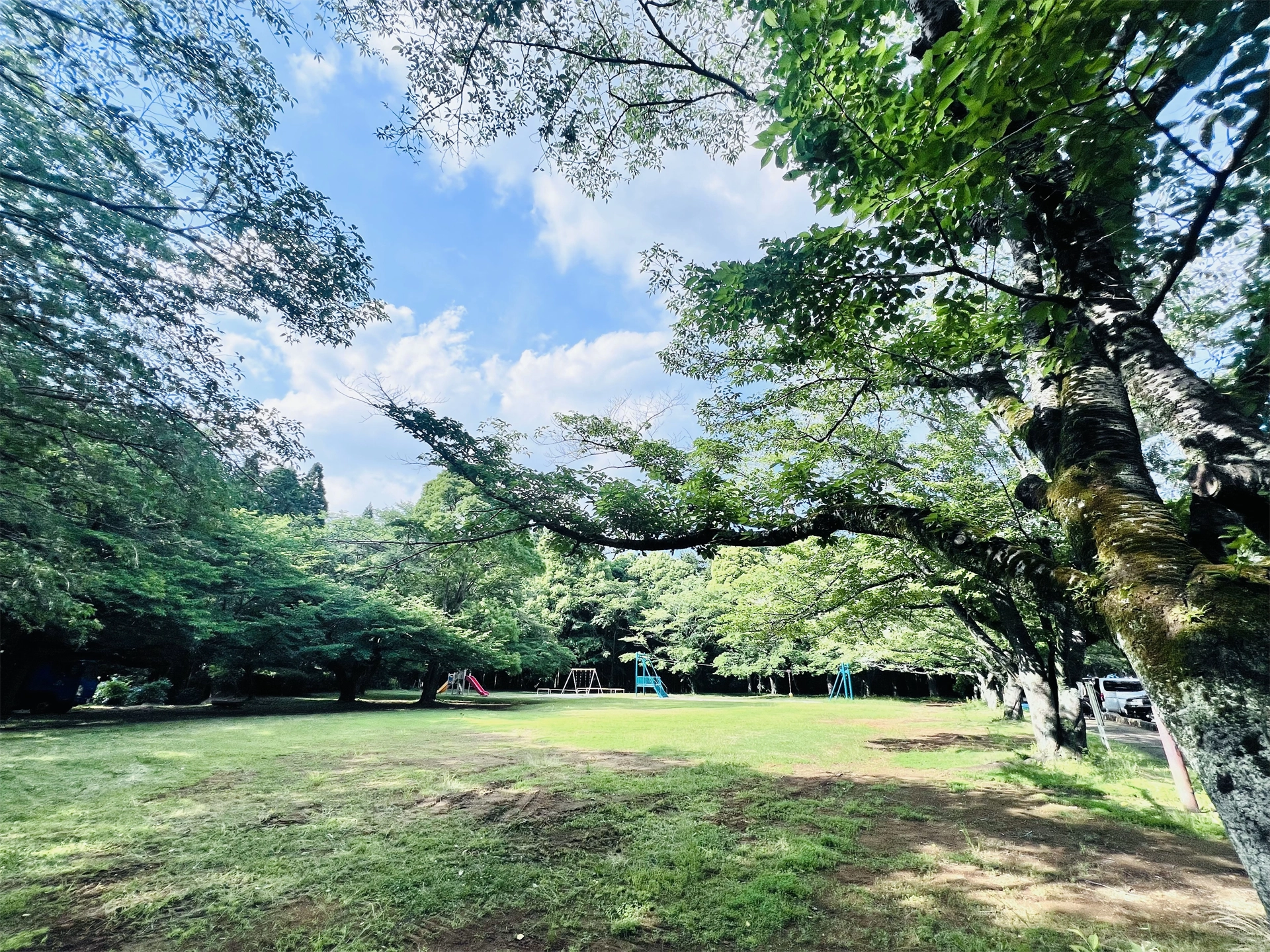 公園内広場