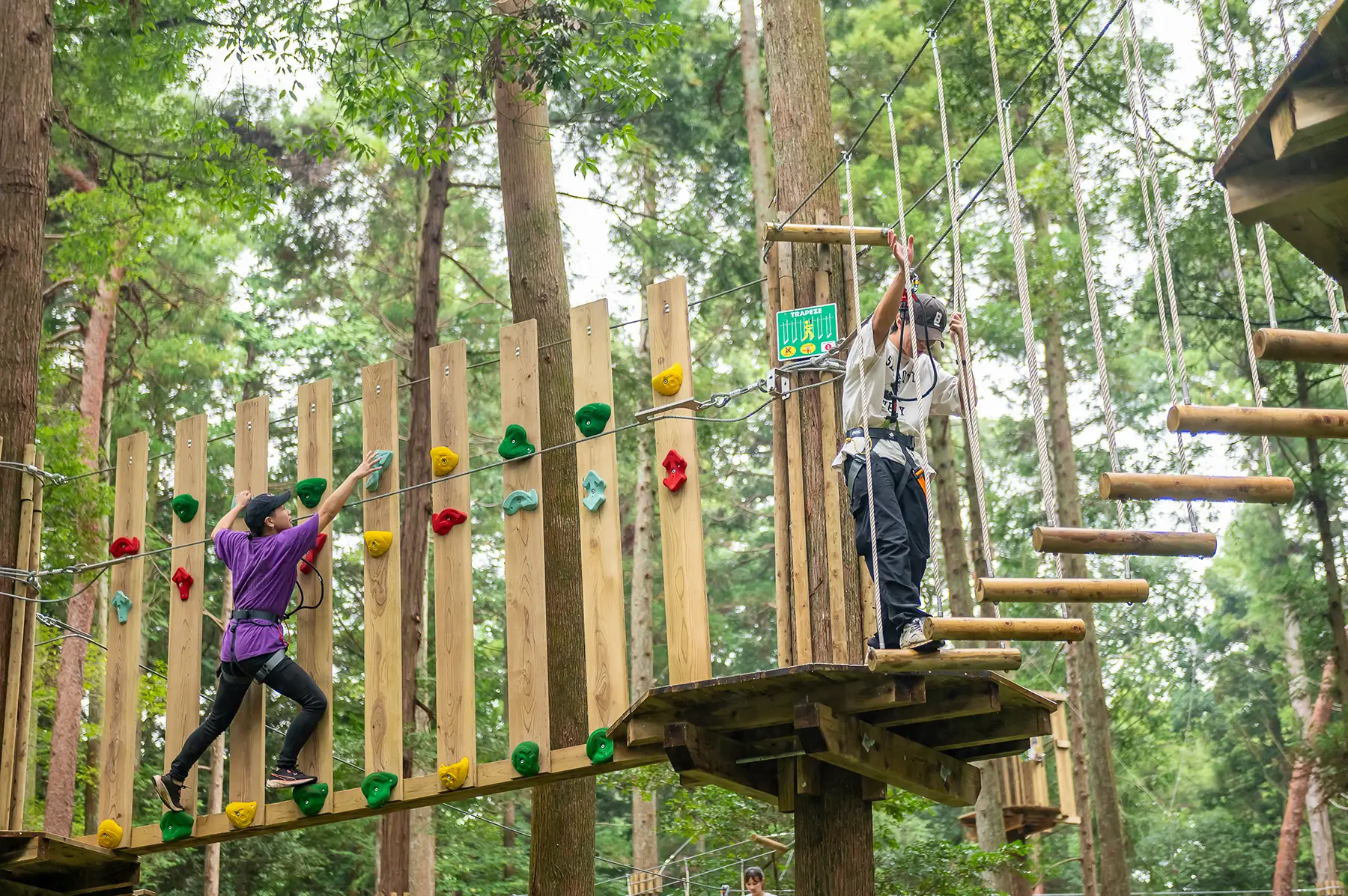 フォレストアドベンチャー